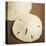 Natural Sand Dollars-Marlana Semenza-Stretched Canvas