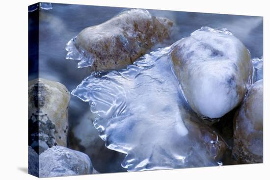 Natural Sculptural Ice Forms in the Mountain Brook-Klaus Scholz-Premier Image Canvas