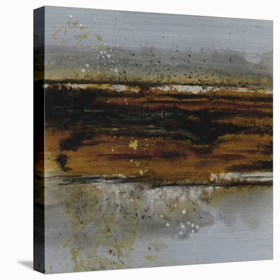Natural Situation II-Carney-Stretched Canvas