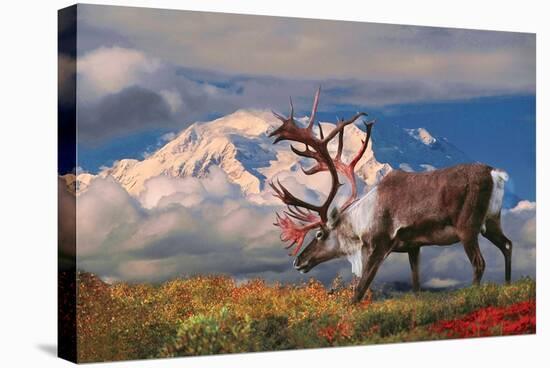 Natural Splendors Alaska II-null-Stretched Canvas