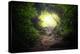 Natural Tunnel in Tropical Jungle Forest. Road Path Way through Lush, Foliage and Trees of Evergree-SergWSQ-Premier Image Canvas