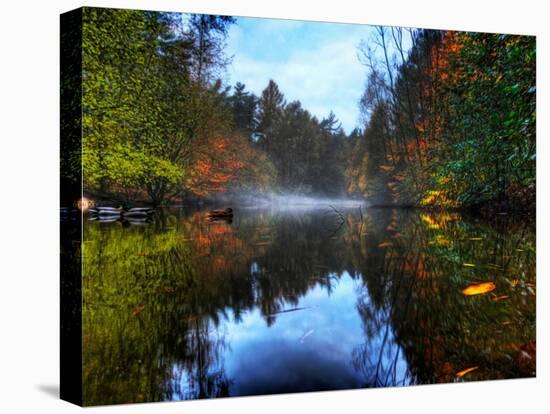 Nature 14-Brian Stevenson-Premier Image Canvas