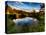 Nature 26-Brian Stevenson-Premier Image Canvas