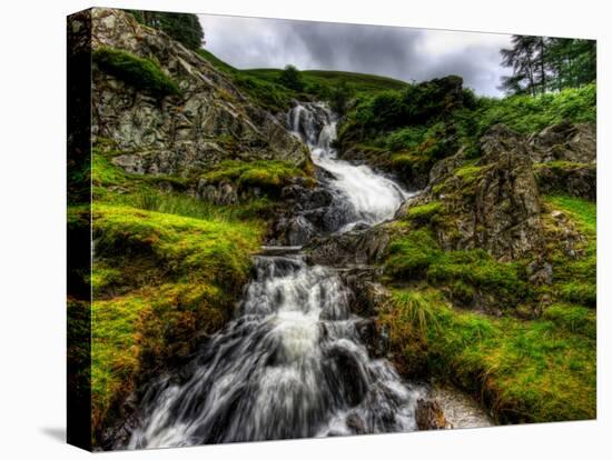 Nature 27-Brian Stevenson-Premier Image Canvas