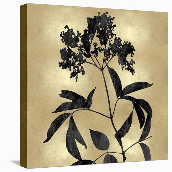 Nature Black on Gold V-Danielle Carson-Stretched Canvas