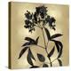 Nature Black on Gold V-Danielle Carson-Stretched Canvas