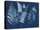 Nature By The Lake - Ferns I-Piper Rhue-Stretched Canvas