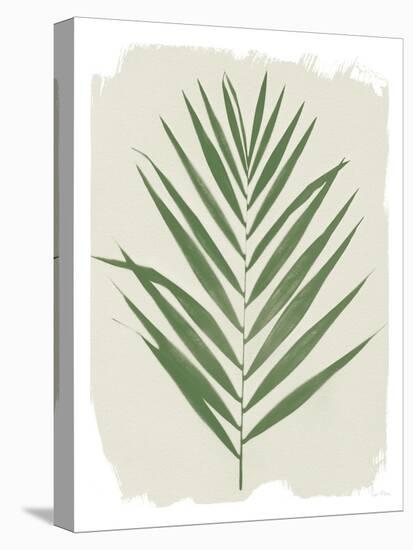Nature By the Lake Frond III Cream-Piper Rhue-Stretched Canvas
