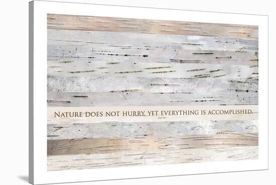 Nature does not hurry (after Lao Tsu)-null-Stretched Canvas