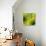 Nature Fan, Green Leaves Color-Belen Mena-Premier Image Canvas displayed on a wall