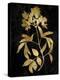 Nature Gold on Black V-Danielle Carson-Stretched Canvas