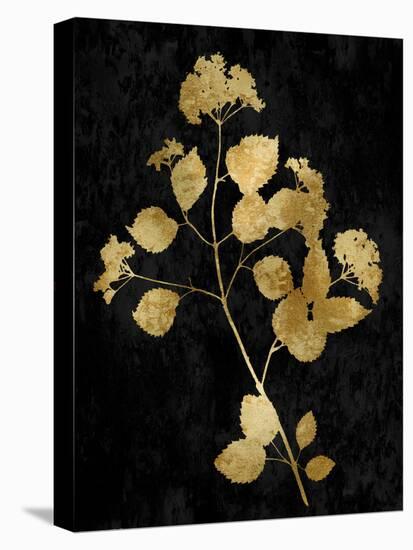 Nature Gold on Black VI-Danielle Carson-Stretched Canvas