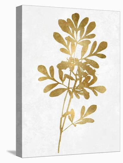 Nature Gold on White II-Danielle Carson-Stretched Canvas