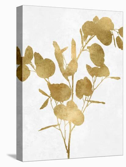 Nature Gold on White III-Danielle Carson-Stretched Canvas
