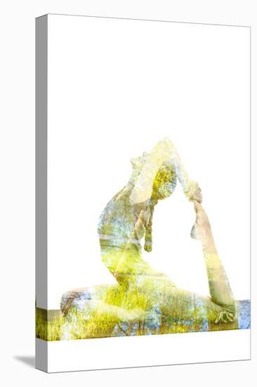 Nature Harmony Healthy Lifestyle Concept - Double Exposure Image of Woman Doing Yoga Asana King Pig-f9photos-Premier Image Canvas