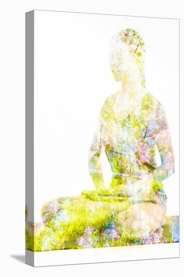 Nature Harmony Healthy Lifestyle Concept - Double Exposure Image of Woman Doing Yoga Lotus Position-f9photos-Premier Image Canvas