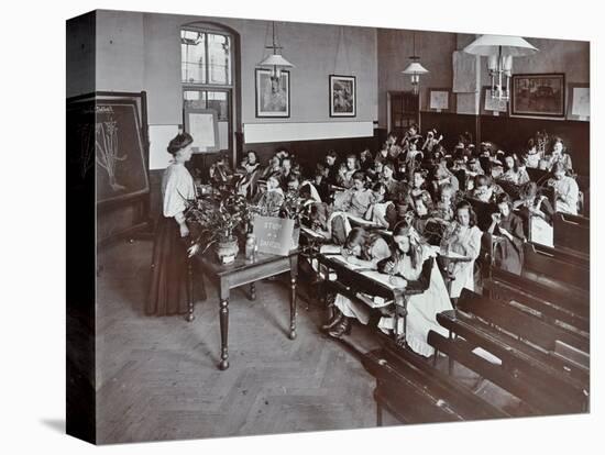 Nature lesson, Albion Street Girls School, Rotherhithe, London, 1908-Unknown-Premier Image Canvas