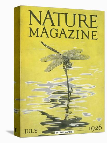 Nature Magazine - View of a Dragonfly over a Pond, c.1926-Lantern Press-Stretched Canvas