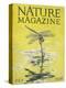 Nature Magazine - View of a Dragonfly over a Pond, c.1926-Lantern Press-Stretched Canvas