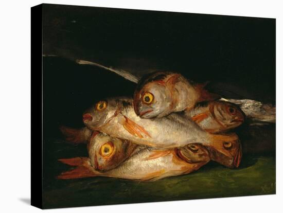 Nature Morte De Breme D'or  (Still Life with Golden Bream) Peinture De Francisco De Goya (1746-182-Francisco Jose de Goya y Lucientes-Premier Image Canvas