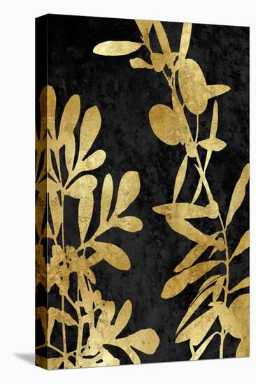 Nature Panel Gold on Black III-Danielle Carson-Stretched Canvas