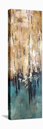 Nature's Abundance II-Luis Solis-Stretched Canvas