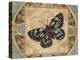 Nature's Butterfly I-Piper Ballantyne-Stretched Canvas