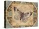 Nature's Butterfly II-Piper Ballantyne-Stretched Canvas