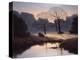 Nature's Early Morning Mist-Michael John Hill-Premier Image Canvas