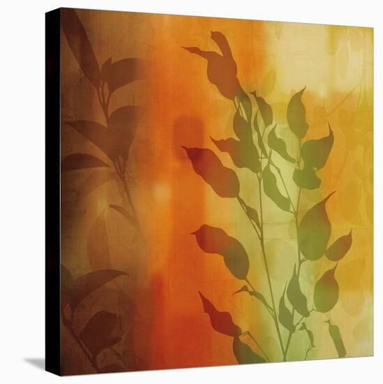 Nature^s Glow I-Chris Donovan-Stretched Canvas