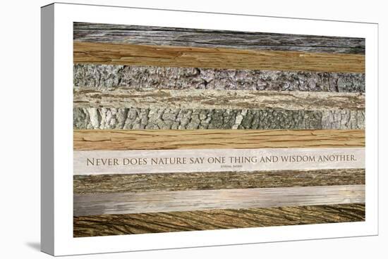 Nature's Wisdom (after Juvenal)-null-Stretched Canvas