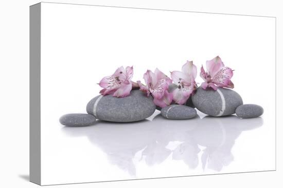 Nature Stones with Pink Orchid-Apollofoto-Premier Image Canvas