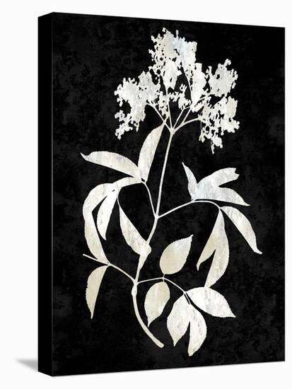 Nature White on Black V-Danielle Carson-Stretched Canvas