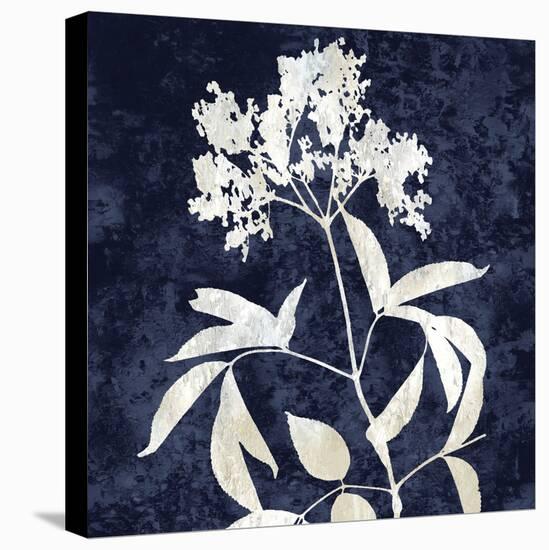Nature White on Blue V-Danielle Carson-Stretched Canvas