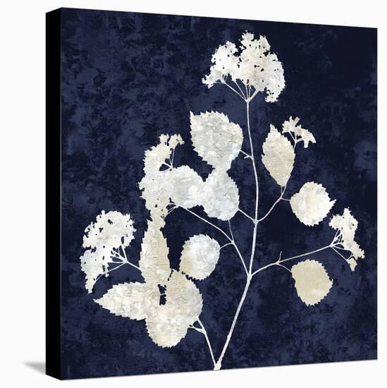 Nature White on Blue VI-Danielle Carson-Stretched Canvas