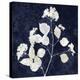 Nature White on Blue VI-Danielle Carson-Stretched Canvas