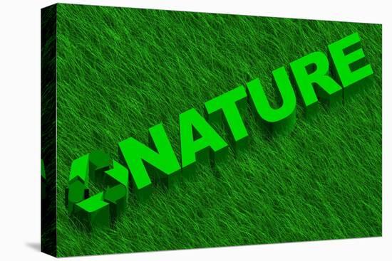 Nature Word over Green Grass-marphotography-Stretched Canvas