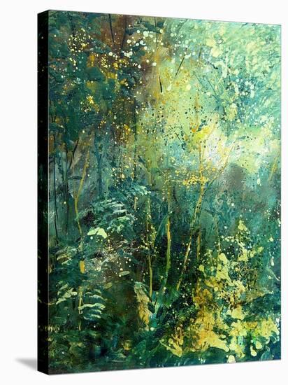 Nature-Pol Ledent-Stretched Canvas