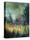 Nature-Pol Ledent-Stretched Canvas