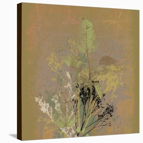 Natures Harmony IX-Ken Hurd-Stretched Canvas