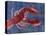 Nautical Lobster 1-Albert Koetsier-Stretched Canvas