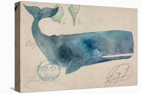 Nautical Whale - Horizontal-Angela Staehling-Stretched Canvas