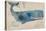 Nautical Whale - Horizontal-Angela Staehling-Stretched Canvas