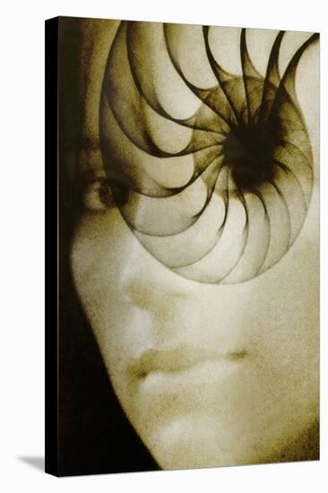 Nautilus And Woman's Face-Hannah Gal-Premier Image Canvas