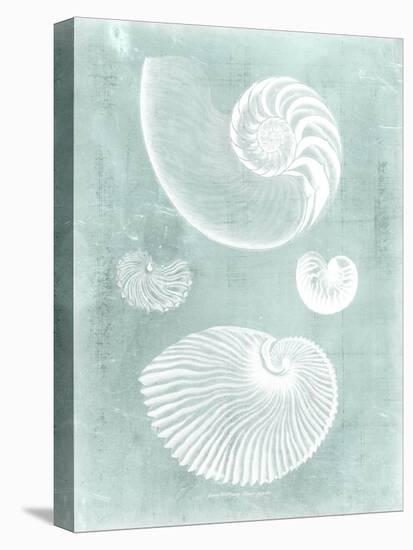 Nautilus on Spa II-Vision Studio-Stretched Canvas