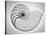 Nautilus Xray I-Moises Levy-Premier Image Canvas