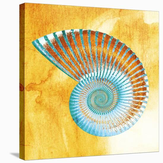 Nautilus-null-Stretched Canvas