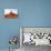 Navajo Country IV-Douglas Taylor-Premier Image Canvas displayed on a wall