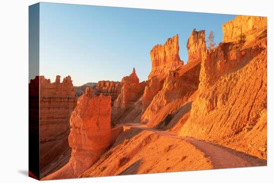 Navajo Loop trail at sunrise. Sunrise Point, Bryce Canyon National Park,, Utah-Alan Majchrowicz-Premier Image Canvas