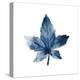 Navy Leaf Print 1-Kimberly Allen-Stretched Canvas